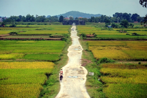 Hồ Hán Thương dự đoán nhà Hồ chỉ tồn tại 6 năm?