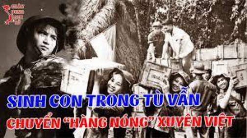 Đội Trưởng Đỗ Thị Năm: Chân Dung Người Mẹ Kháng Chiến Với Hành Trình Vận Chuyển Vũ Khí 